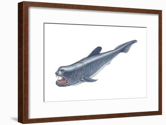 Dinichthys, Fishlike Animal, Fossil, Fishes-Encyclopaedia Britannica-Framed Art Print