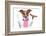 Dinner Dog-Javier Brosch-Framed Photographic Print