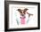 Dinner Dog-Javier Brosch-Framed Photographic Print