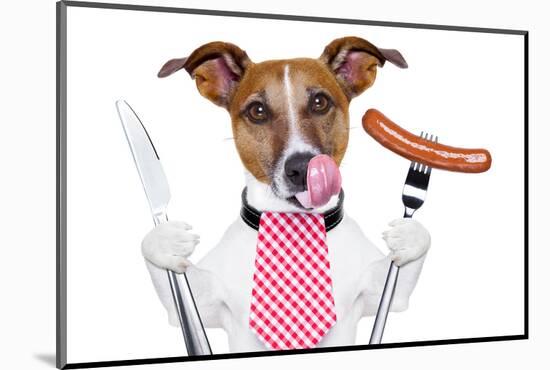 Dinner Dog-Javier Brosch-Mounted Photographic Print