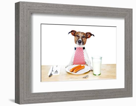 Dinner Meal at Table Dog-Javier Brosch-Framed Photographic Print