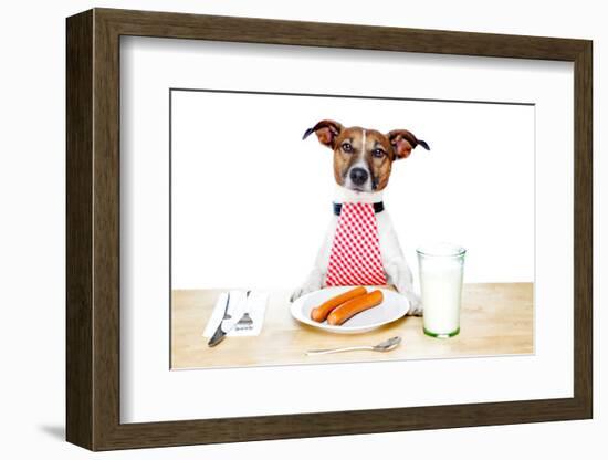 Dinner Meal at Table Dog-Javier Brosch-Framed Photographic Print