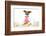 Dinner Meal at Table Dog-Javier Brosch-Framed Photographic Print