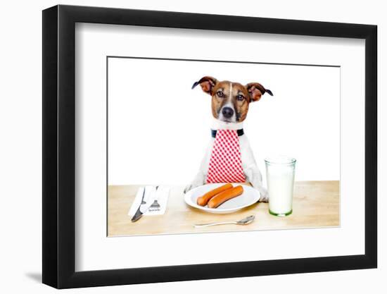 Dinner Meal at Table Dog-Javier Brosch-Framed Photographic Print