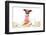 Dinner Meal at Table Dog-Javier Brosch-Framed Photographic Print