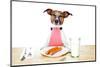 Dinner Meal at Table Dog-Javier Brosch-Mounted Photographic Print