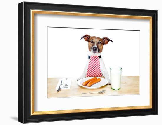 Dinner Meal at Table Dog-Javier Brosch-Framed Photographic Print