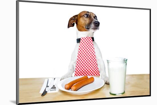 Dinner Meal at Table Dog-Javier Brosch-Mounted Photographic Print