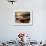 Dinner Rio De Janeiro-luiz rocha-Framed Photographic Print displayed on a wall