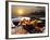 Dinner Rio De Janeiro-luiz rocha-Framed Photographic Print