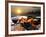 Dinner Rio De Janeiro-luiz rocha-Framed Photographic Print