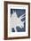 Dino 3-Kimberly Allen-Framed Art Print