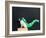 Dino Dog-Susan Sabo-Framed Photographic Print