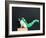 Dino Dog-Susan Sabo-Framed Photographic Print