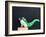 Dino Dog-Susan Sabo-Framed Photographic Print