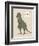 Dino Tyrannosaurus-Designs Sweet Melody-Framed Premium Giclee Print