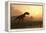 Dinosaur In Landscape-Mike_Kiev-Framed Premier Image Canvas