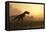 Dinosaur In Landscape-Mike_Kiev-Framed Premier Image Canvas