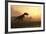 Dinosaur In Landscape-Mike_Kiev-Framed Photographic Print