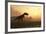 Dinosaur In Landscape-Mike_Kiev-Framed Photographic Print