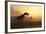 Dinosaur In Landscape-Mike_Kiev-Framed Photographic Print