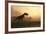 Dinosaur In Landscape-Mike_Kiev-Framed Photographic Print