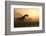 Dinosaur In Landscape-Mike_Kiev-Framed Photographic Print