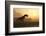 Dinosaur In Landscape-Mike_Kiev-Framed Photographic Print