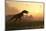 Dinosaur In Landscape-Mike_Kiev-Mounted Photographic Print