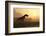 Dinosaur In Landscape-Mike_Kiev-Framed Photographic Print