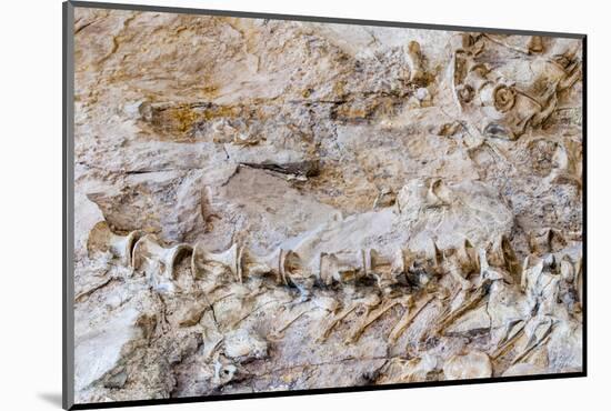 Dinosaur National Monument, Dinosaur, Utah, United States of America, North America-Michael DeFreitas-Mounted Photographic Print