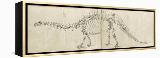 Dinosaur Study I-Ethan Harper-Framed Stretched Canvas