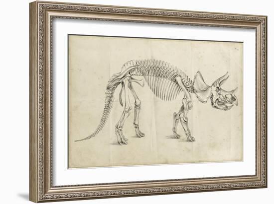 Dinosaur Study II-Ethan Harper-Framed Premium Giclee Print