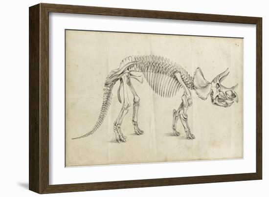 Dinosaur Study II-Ethan Harper-Framed Premium Giclee Print