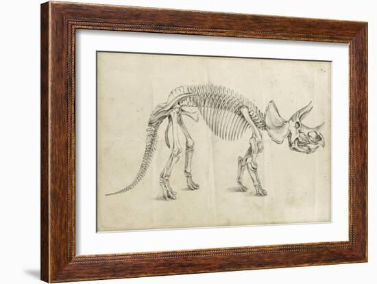 Dinosaur Study II-Ethan Harper-Framed Premium Giclee Print