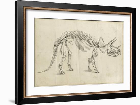 Dinosaur Study II-Ethan Harper-Framed Premium Giclee Print