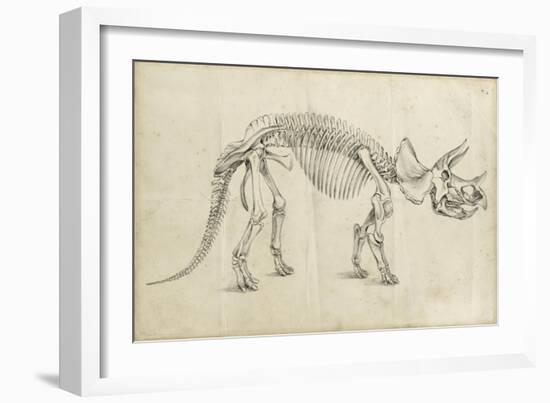 Dinosaur Study II-Ethan Harper-Framed Premium Giclee Print