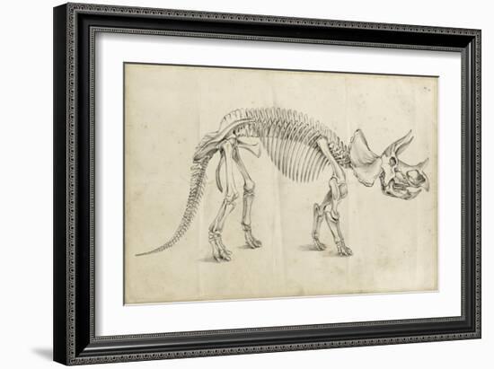 Dinosaur Study II-Ethan Harper-Framed Premium Giclee Print