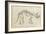 Dinosaur Study II-Ethan Harper-Framed Premium Giclee Print