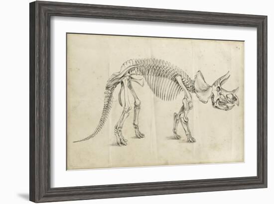 Dinosaur Study II-Ethan Harper-Framed Art Print