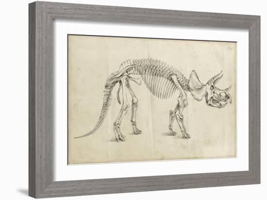 Dinosaur Study II-Ethan Harper-Framed Art Print