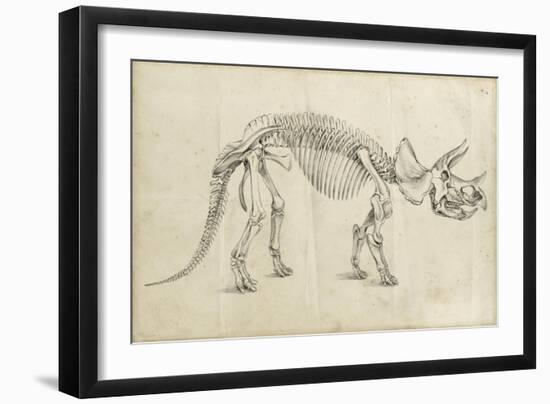 Dinosaur Study II-Ethan Harper-Framed Art Print