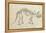 Dinosaur Study II-Ethan Harper-Framed Stretched Canvas