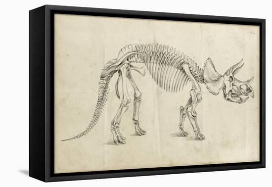 Dinosaur Study II-Ethan Harper-Framed Stretched Canvas