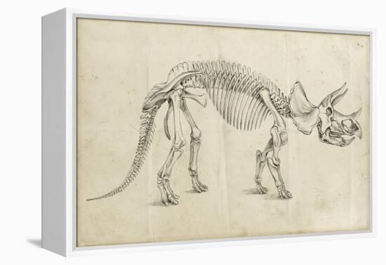 Dinosaur Study II-Ethan Harper-Framed Stretched Canvas