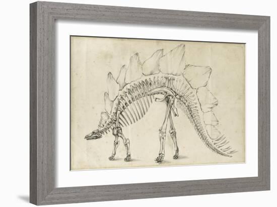 Dinosaur Study III-Ethan Harper-Framed Art Print