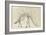 Dinosaur Study III-Ethan Harper-Framed Art Print