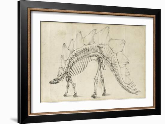 Dinosaur Study III-Ethan Harper-Framed Art Print