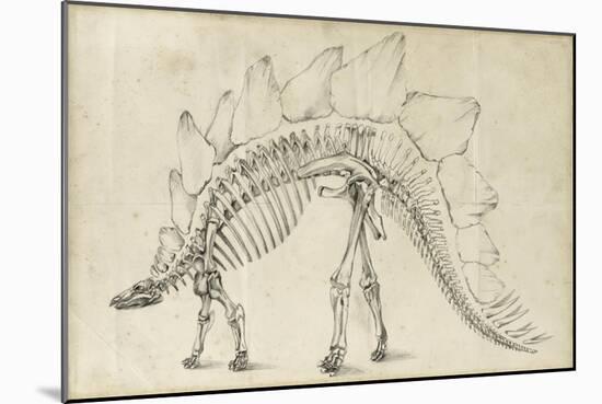 Dinosaur Study III-Ethan Harper-Mounted Art Print