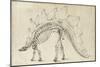 Dinosaur Study III-Ethan Harper-Mounted Art Print